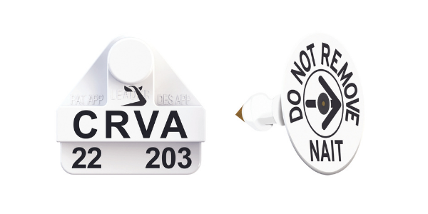 Birth_EID_Button_HD_Leadertronic