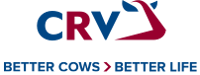 CRV Logo