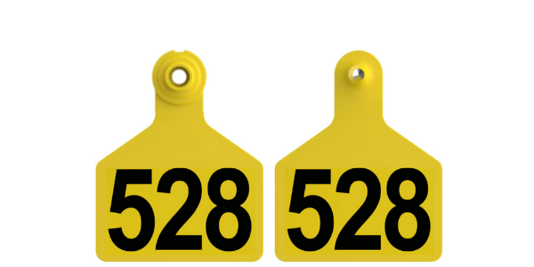 DOUBLE_LARGE_COW_TAG