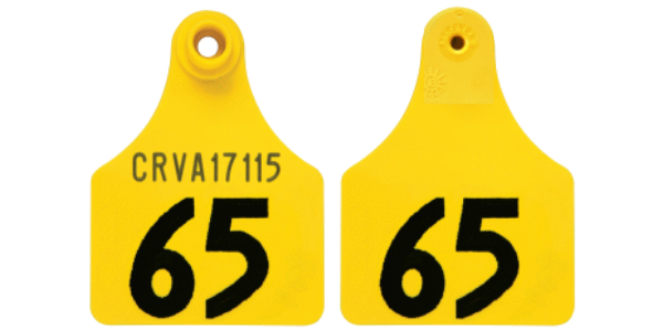 EASY_TEST_TAG_-_DOUBLE_MAXI__1_