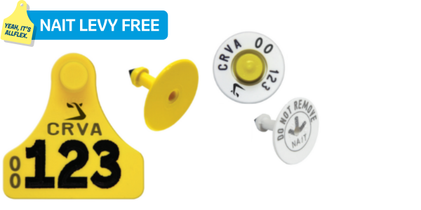 Economy Calf Pack 26