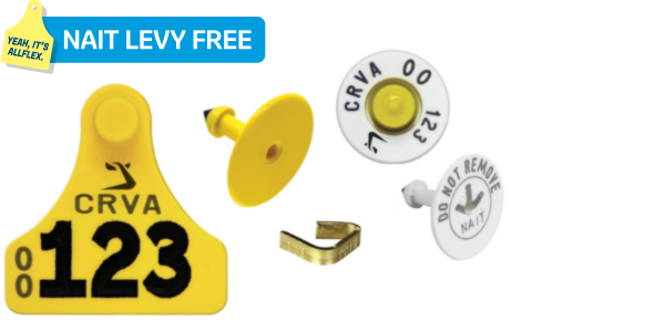 Economy Calf Pack with Brass 26