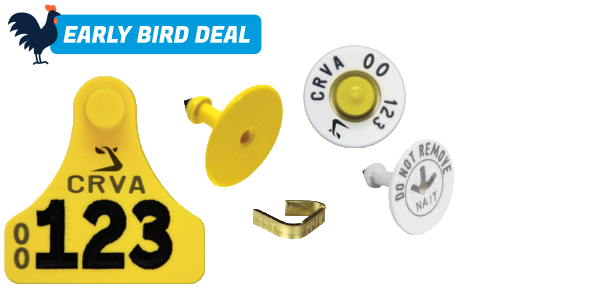 Economy_Calf_Pack_with_Brass