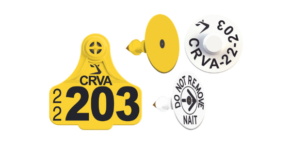 HDX_ECONOMY_CALF_PACK_