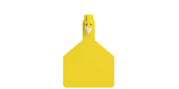 One_Piece_Blank_Tags_-_L