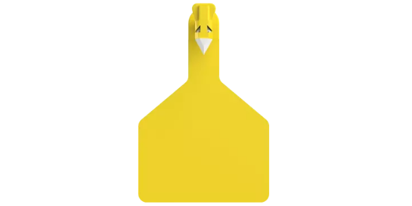 One_Piece_Blank_Tags_-_XL