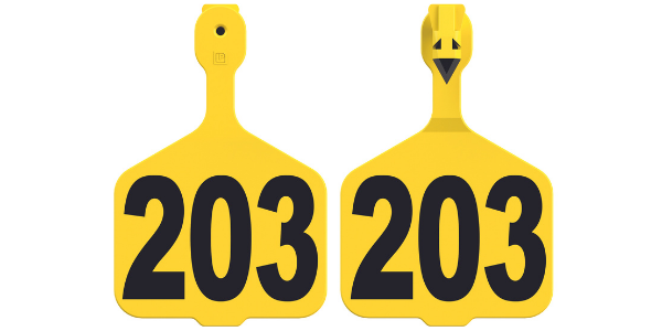 One_Piece_Cow_Tag__1_