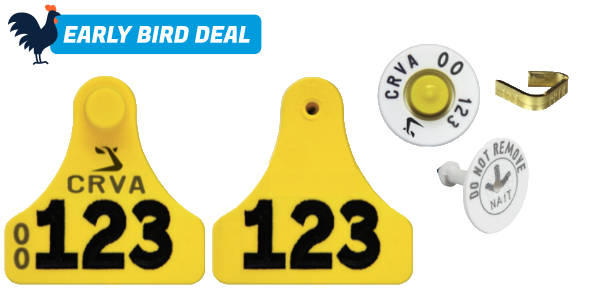 Premium_Calf_Pack_with_Brass