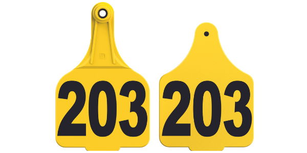 Super_MaxiMaxi_Tag__1_