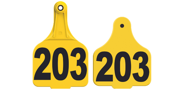 Super_Maxi_Large_Tag_set