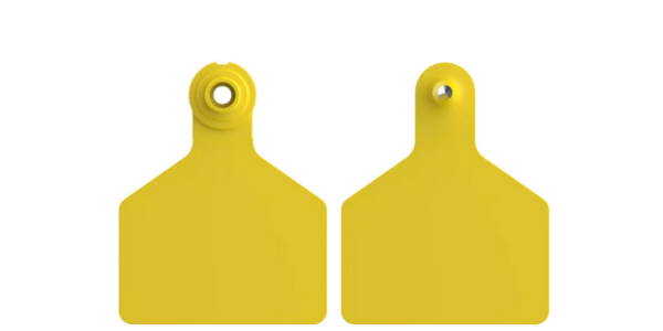 Two_Piece_Blank_Tags_-_L