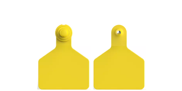 Two_Piece_Blank_Tags_-_M