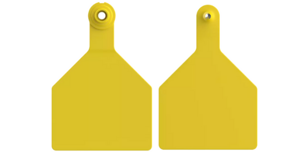 Two_Piece_Blank_Tags_-_XL