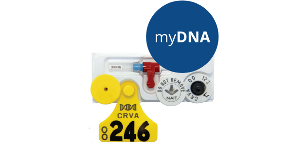 myDNA_Economy_Birth_pack__1_